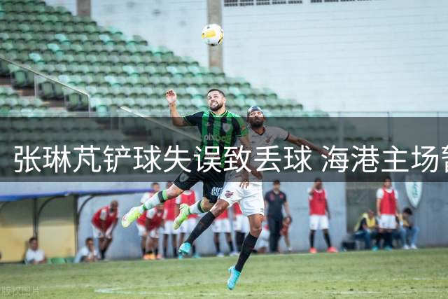 张琳芃铲球失误致丢球 海港主场暂负海牛