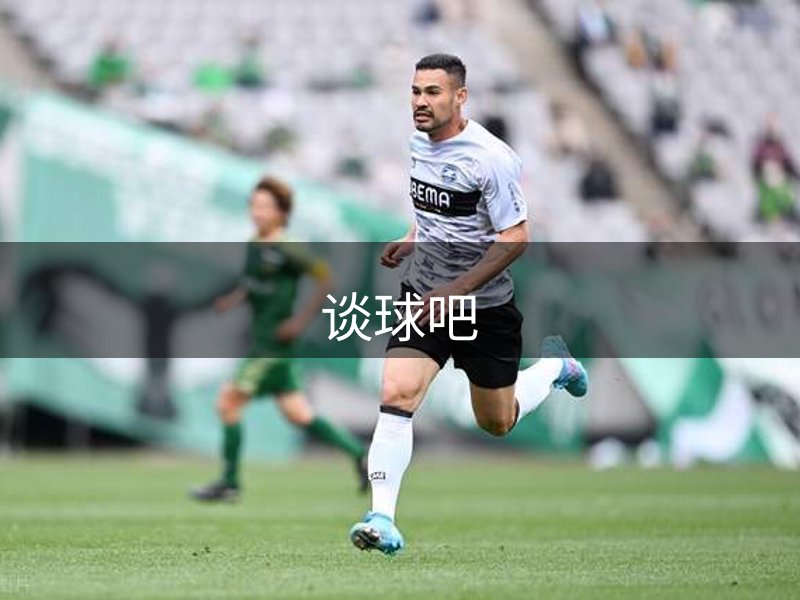 网站概况